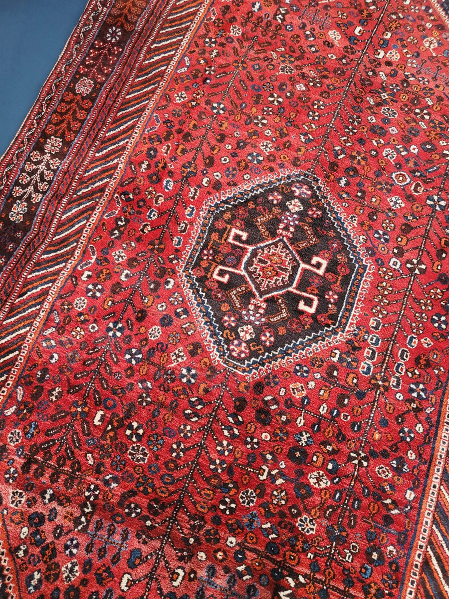 Shah How Bizarre Rugs